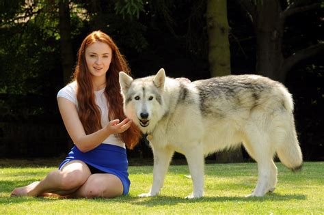 sophie turner zunni lady game  thrones photo  fanpop page