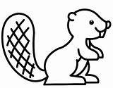 Beaver Animals Coloring 1570 Pages Kb Drawings Coloriage sketch template