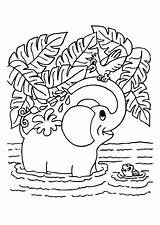 Elefante Disegno sketch template