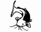 Catfish Fish Decal Silhouette Fishing Outdoorsman Sticker Decals Tattoo Template Etsy Designs Create Name Getdrawings Burning Wood Choose Board sketch template