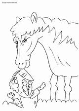 Colorare Cavallo Bambini Disegni Mammafelice Cavalli Bambina Mucca Stilizzato sketch template