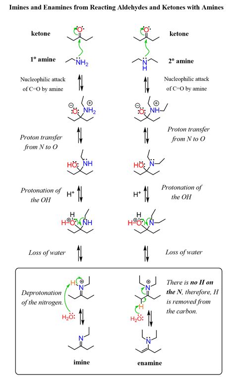 enamines  aldehydes  ketones  secondary amines chemistry steps