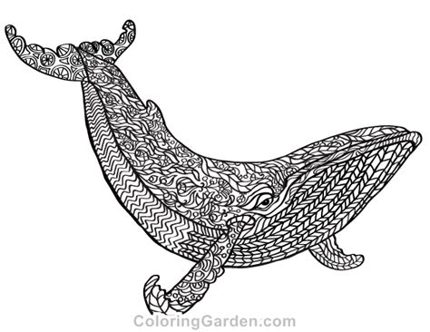 lovely images adult coloring pages whale coloring ocean mandalas