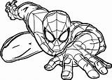Coloring Spider Crawl sketch template