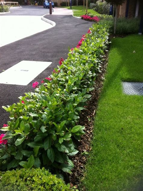 stepover hedging london