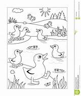 Ducklings Entlein Teich Pond Farbtonseite sketch template