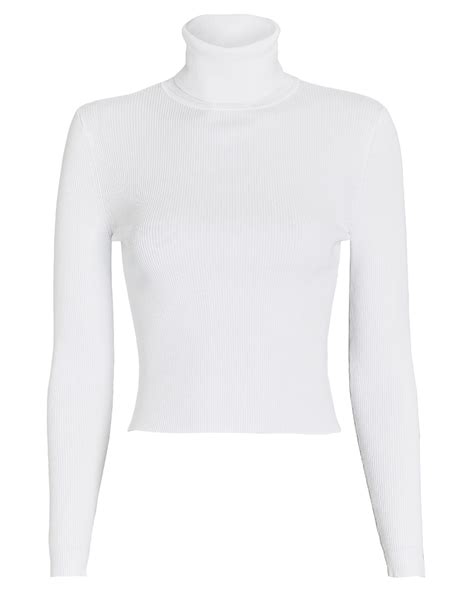 Eberly Rib Knit Turtleneck Top Turtle Neck Egirl Clothing White