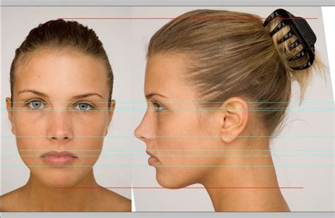head side front view google reference female face drawing face angles head anatomy