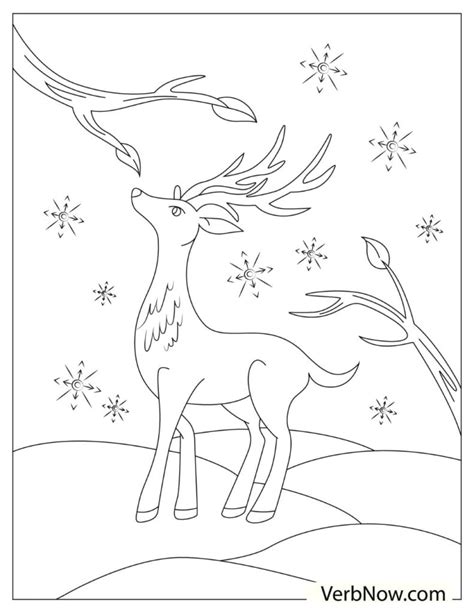 reindeer coloring pages   printable  verbnow