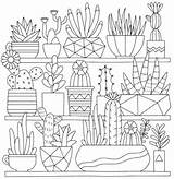 Cactus Colouring Colorir Easy Houseplant Coloriages Terrarium Succulents Dibujar Faciles Genero Equidad Bordado Colored Cleverpedia Shopkins Suculentas Drawings Flores Bordar sketch template