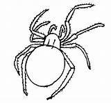 Spider Coloring Poisonous Coloringcrew Book sketch template