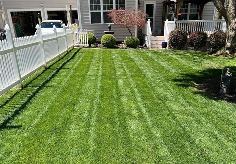 april tall fescue lawn tips spring lawn care tips