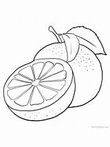 Grapefruit Coloring Drawing Fruit Choose Board Pages Colouring sketch template