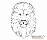 Lion Face Drawing Draw Head Step Simple Sketch Drawings Line Beginners Sketches Tutorial Steps Basic Eyes Animal Tutorials Body Mane sketch template