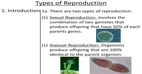 Types Of Reproduction 1 Introduction 1a There Are Two