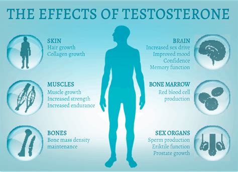 testosterone coast to coast compounding