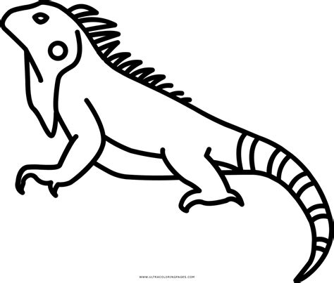 iguana disegni da colorare ultra coloring pages