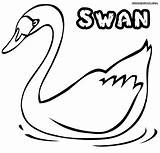 Swan Coloring Pages Colorings Print Animal sketch template