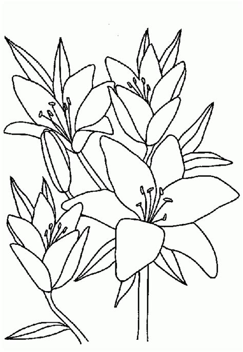 flowers coloring pages  girls   years kids handcraftguide