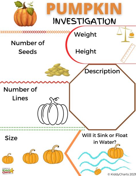 pumpkin investigation sheet  kids