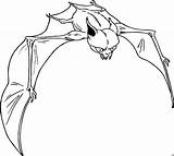 Fledermaus Fliegt Malvorlage Phantasie Ausmalbild sketch template