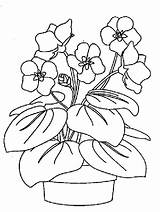 Colorat Primavara Flori Violet Planse Viorele Violets Violete Desene Toporasi Profesorilor Asociatia Universdecopil Bestcoloringpagesforkids Primăvară Interferente sketch template