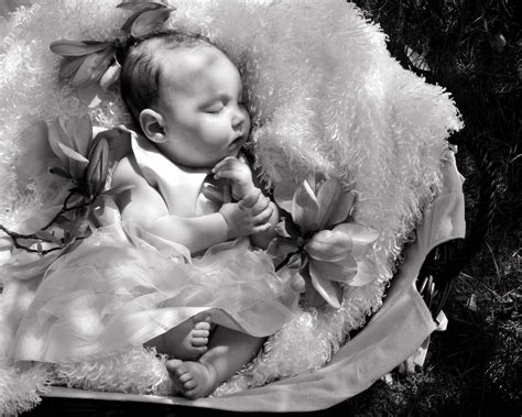 angel baby pentax user photo gallery