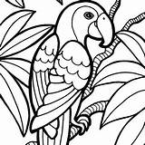 Coloring Parrot Pages Bird Clipart Animals Jungle Sheet Kids Wild 20pages Clipground Panda 20coloring Clipartpanda sketch template
