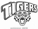 Tigers Clipart Color Tiger Football Word Clemson Custom Coloring Pages Printable Template Clipground Stock sketch template