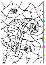 Coiled Chameleon sketch template