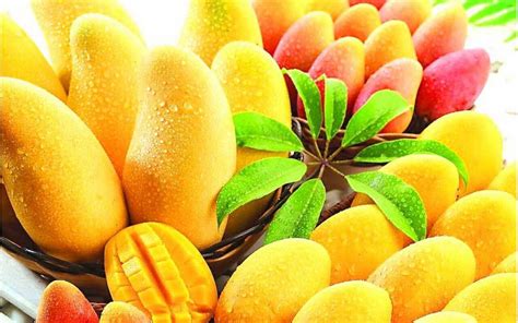 eating mangoes  clean cancer cells   body alkaline valley foods
