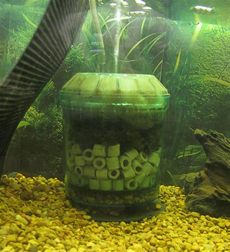 happened   boxcorner filter  fish tanks pethelpful
