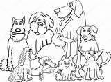 Coloring Dogs Purebred Stock Illustration sketch template