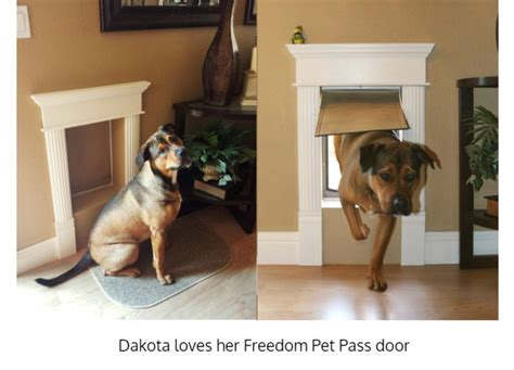 insulated pet doors  walls dog doors  walls freedom pet pass