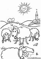Sheep sketch template