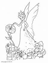 Coloring Pages Girls Fairy Printable Disney Fairies sketch template