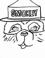 Coloring Bear Smokey Pages Popular Coloringhome Printable Library Clipart sketch template