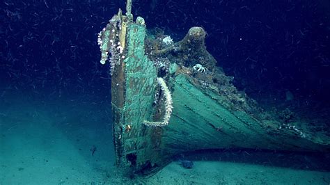 researchers accidentally   mid  century shipwreck