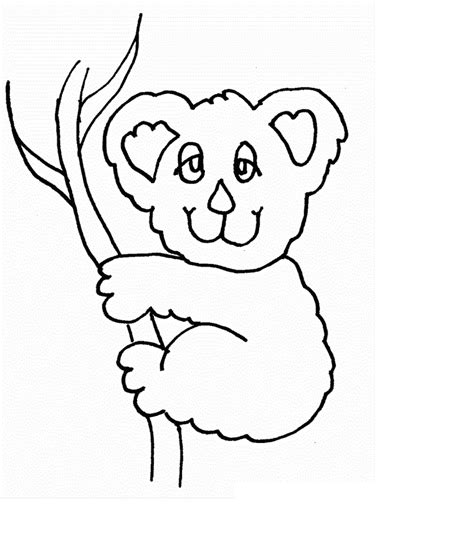 printable koala coloring pages  kids animal place