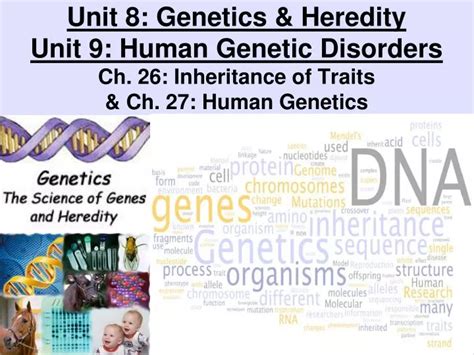 Ppt Genetics And Heredity Powerpoint Presentation Free Download Id
