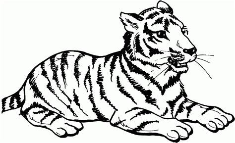 big cat coloring pages sketch coloring page