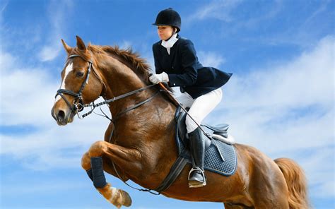 show jumping full hd wallpaper  background image  id