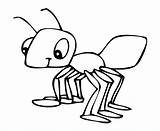 Colorear Para Hormigas Hormiga Imagen Ant Dibujos Visitar Resultado sketch template