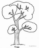 Coloring Trees Pages Printable Tree Popular sketch template