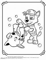 Paw Badges Patrol Pages Coloring Getcolorings sketch template