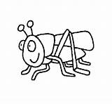 Grasshopper Coloring Coloringcrew Insects Clipart Clipartmag sketch template
