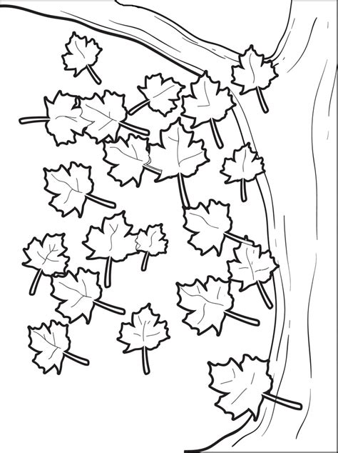 printable fall leaves coloring page  kids supplyme