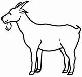 Cabra Cabras Animales Kambing Mewarnai Recursos Menta Idibujosparacolorear Belajar sketch template