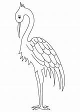 Crane Coloring Drawing Pages Bird Long Kids Legged Construction Colouring Ichabod Drawings Clipart Printable Getdrawings Choose Board Whooping Cranes Library sketch template