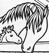 Coloring Pages Simple Horse Shetland Horses Cute Printable Getcolorings Pony Colori Getdrawings sketch template